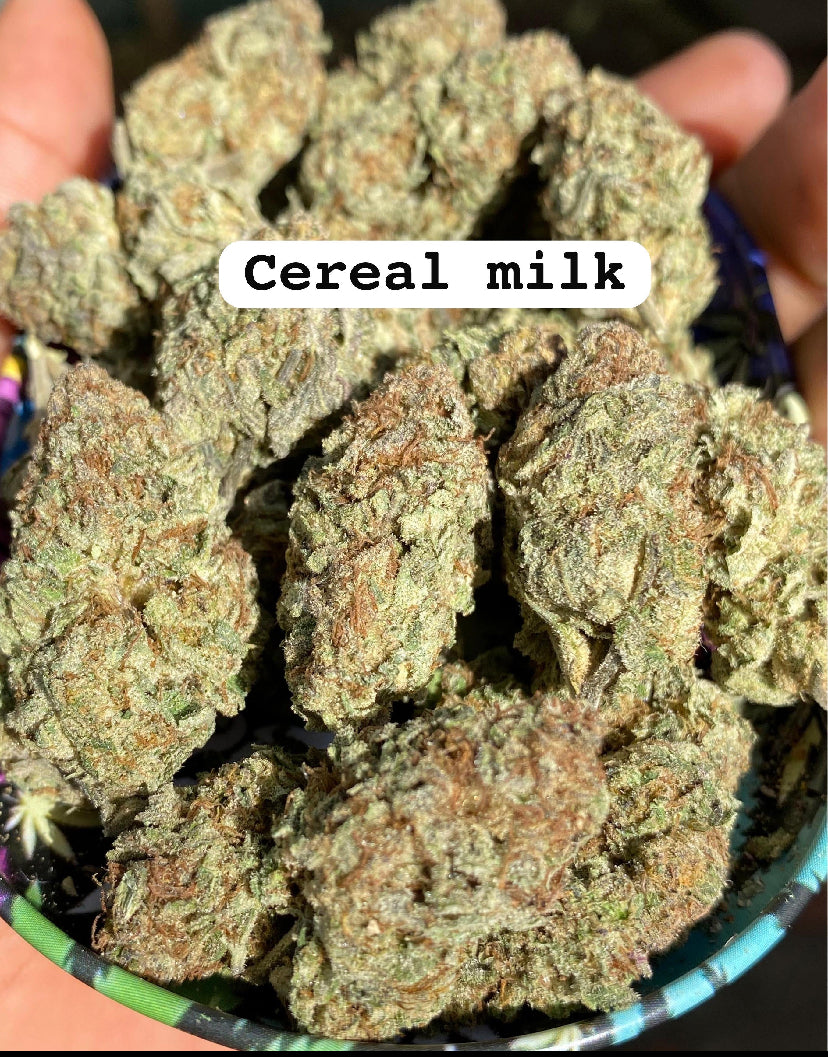 CEREAL MILK STRAIN                             Cannabis palace