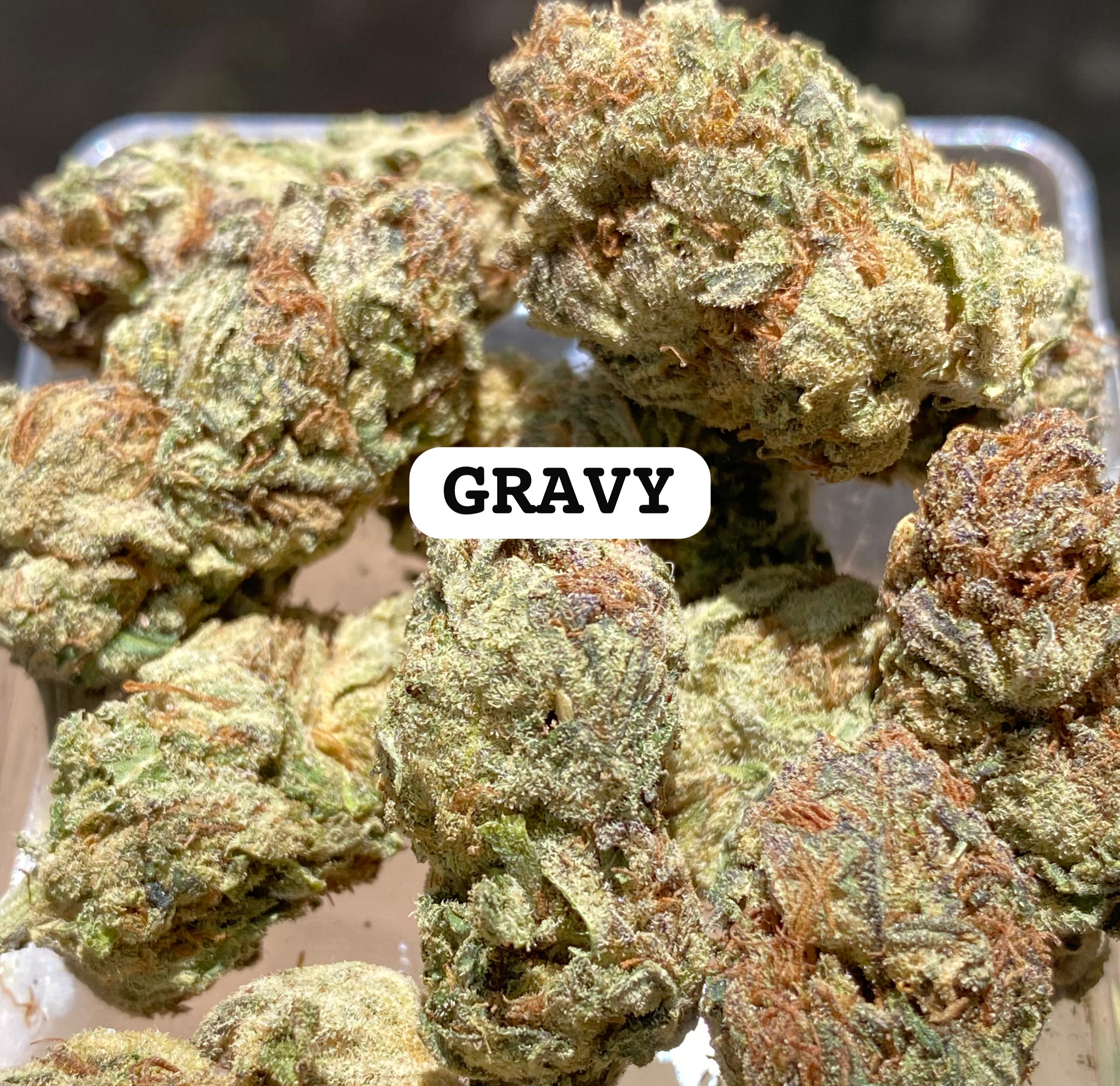 GRAVY STRAIN                                     Cannabis palace
