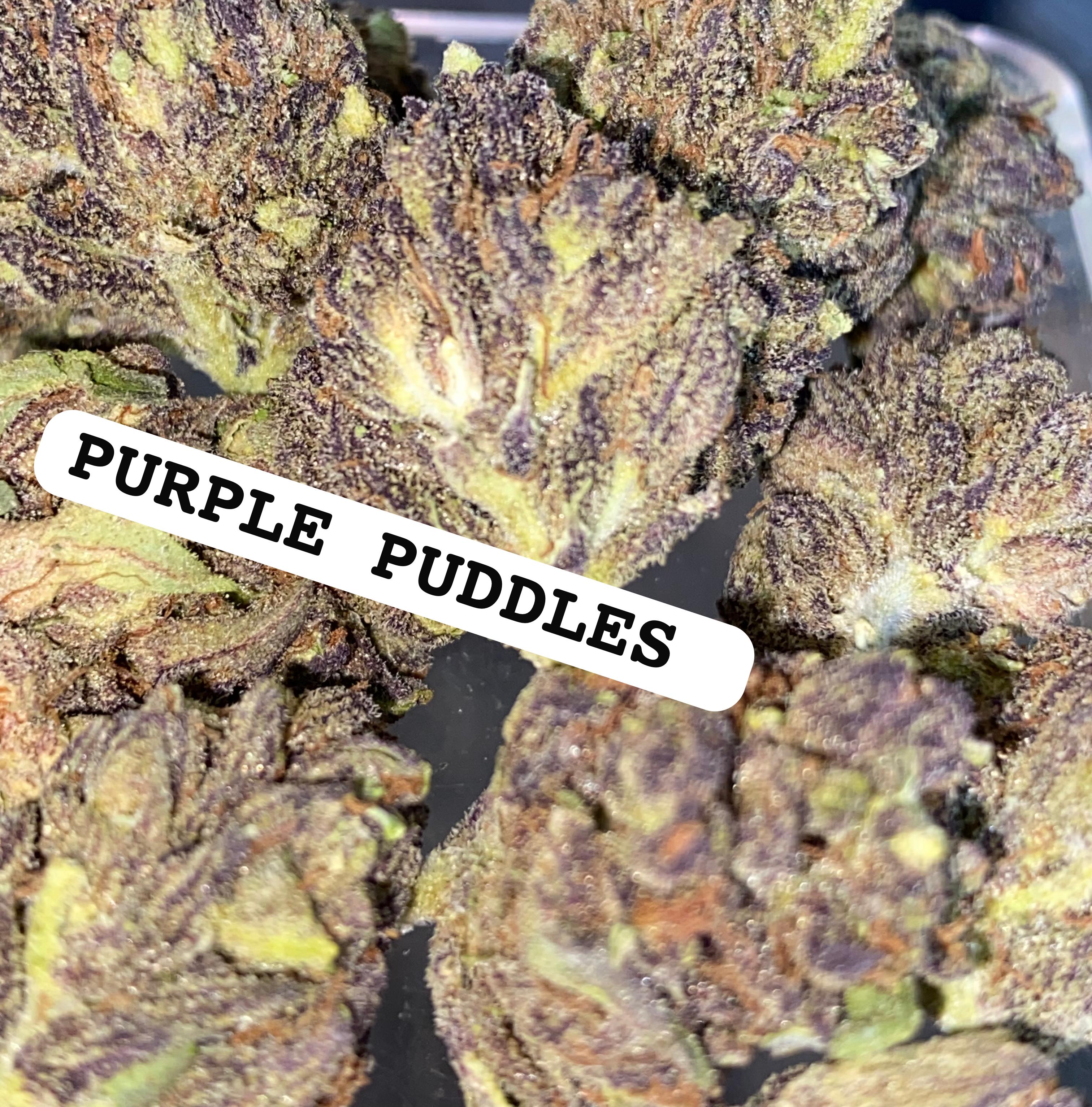 PURPLE PUDDLES STRAIN                  Cannabis palace